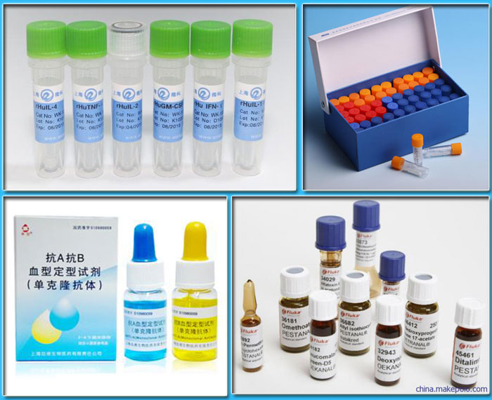 ����ԇ�����b��_�Ԅӻ�����ԇ�����b���O���Ʒչʾ